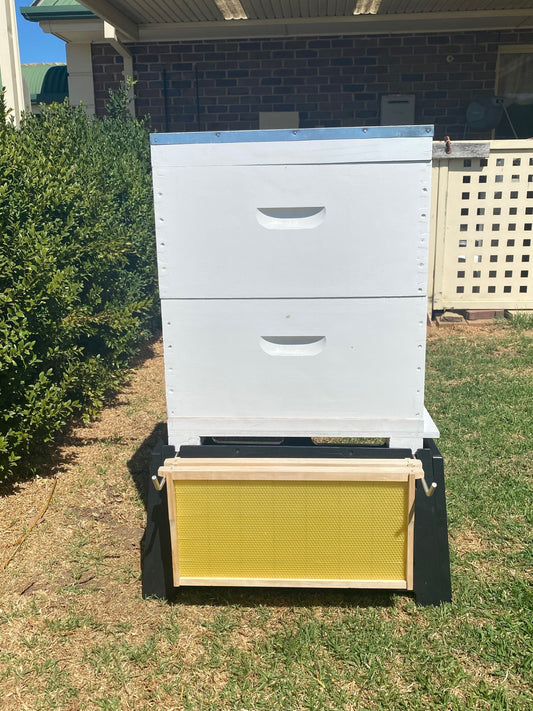 Fully Assembled Painted 8 Frame Double Bee Hive with Stand