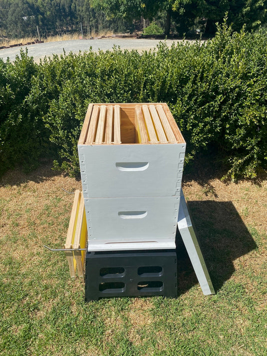 Fully Assembled Painted 10 Frame Double Bee Hive with Stand