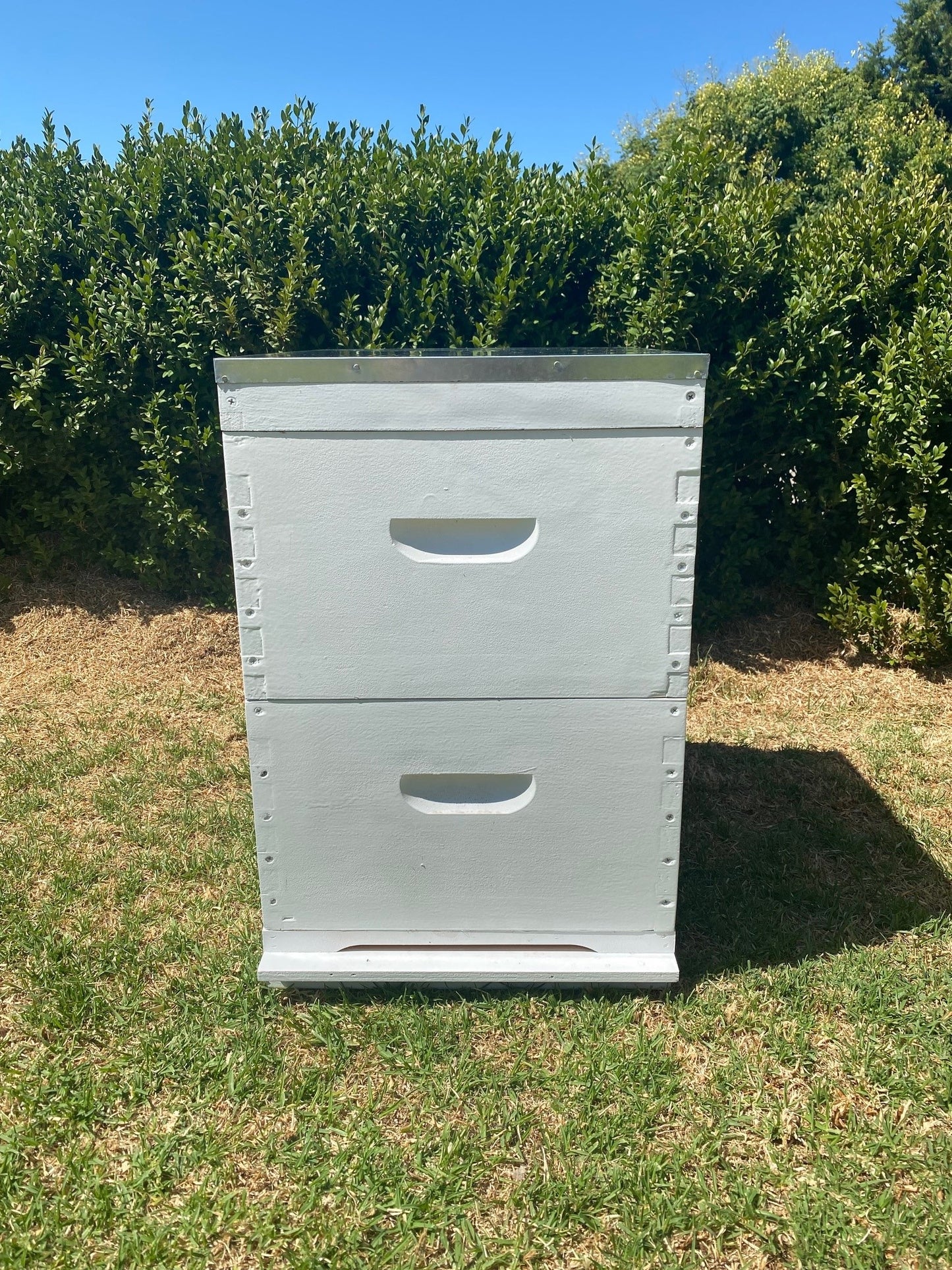 Fully Assembled Painted 10 Frame Double Bee Hive with Stand