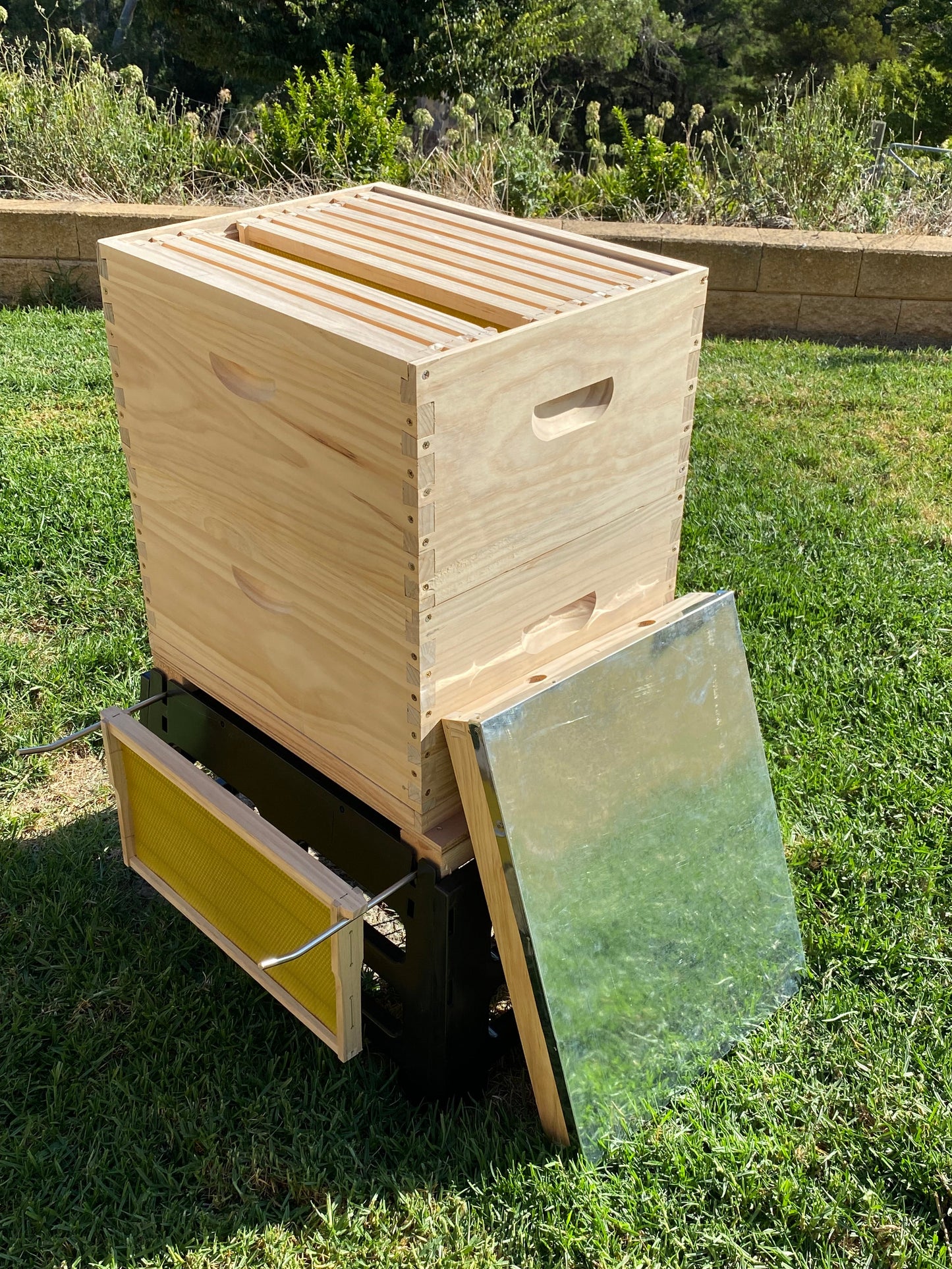 Full Depth Bee Hive with Bees. Deposit $50. Full Price $595