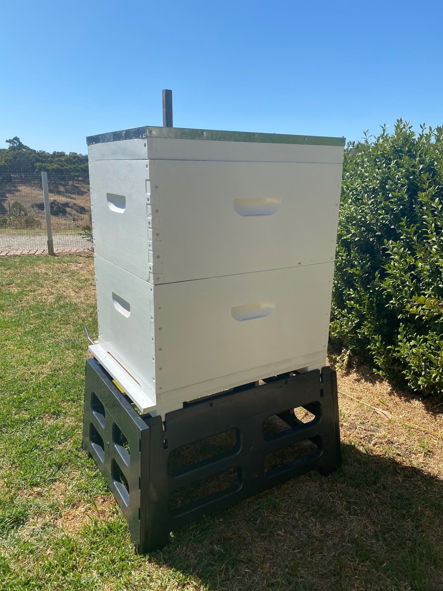 Fully Assembled Painted 8 Frame Double Bee Hive with Stand