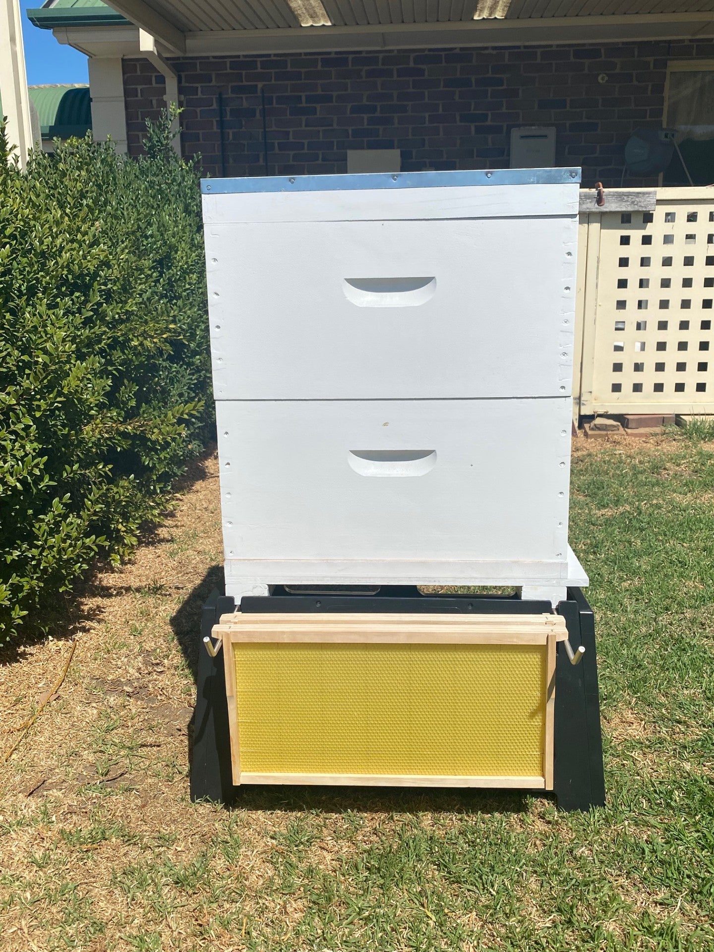 Fully Assembled Painted 8 Frame Double Bee Hive with Stand