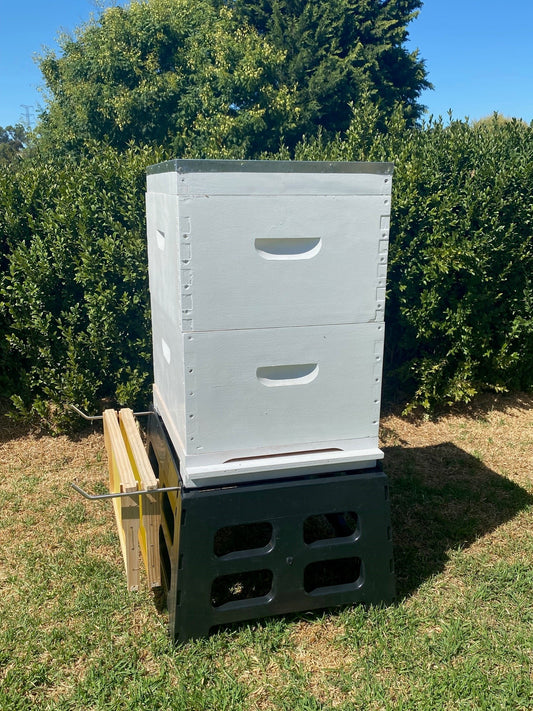 Fully Assembled Painted 10 Frame Double Bee Hive with Stand