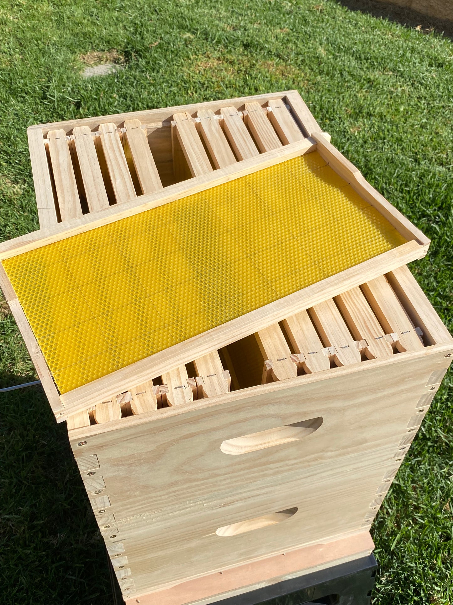 Fully Assembled Double Bee Hive with Stand