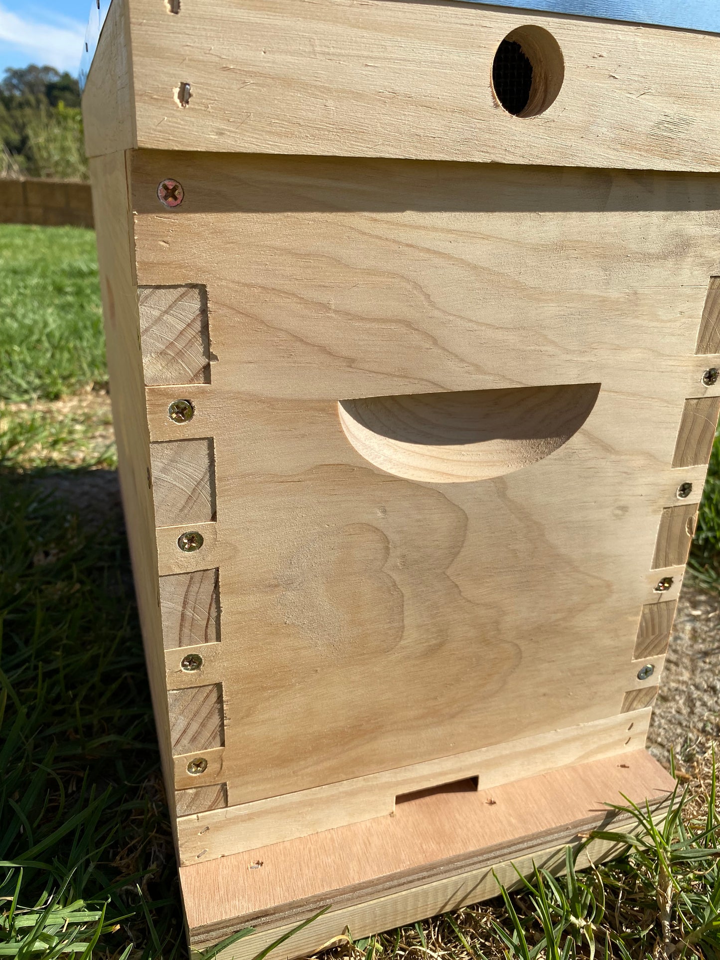 Fully Assembled Wooden Nuc Hive with 5 Frames